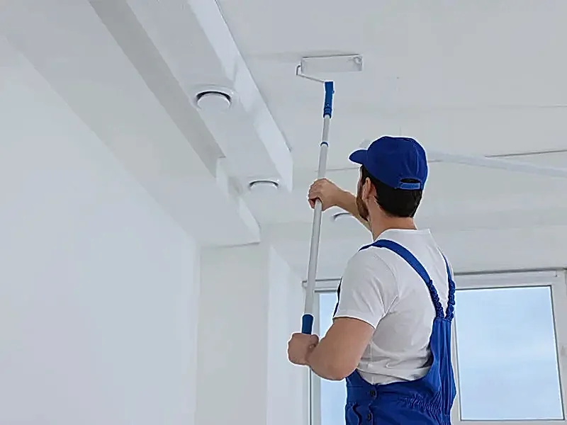 Boya & Badana Ustası